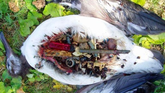 []中国卫星发现“新大陆”，面积是日本的3倍，正加速向我国靠拢