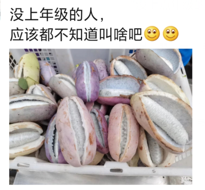 皮皮虾|“没上点年级的人，应该不知道它叫啥吧...”据说连皮吃才带劲！