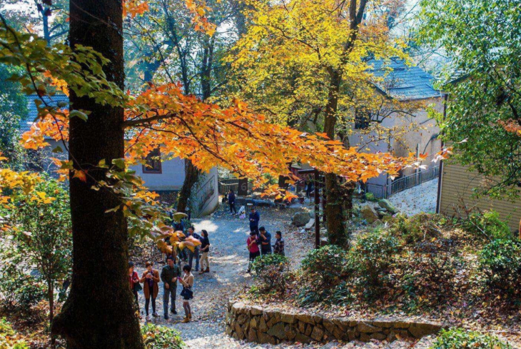 北京市|11月的深秋，这千年江南秋色，天池邀请你一起浏览