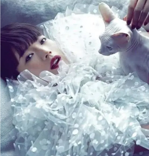 [陈伟霆]当39岁张柏芝撞上44岁舒淇，终于知道仙女和台妹的差距有多大了