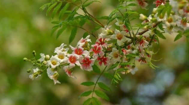 生肖：4月28日开始，带财进门，贵气横生，3个生肖，天降财运之喜