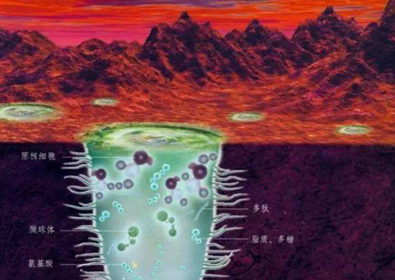 火星|既然所有生命都会走向死亡，那么生命还有存在的意义吗？长见识了