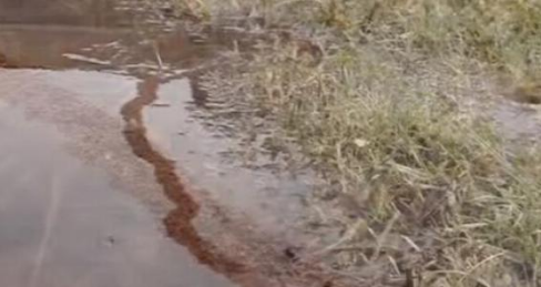 |3名男子到湖边夜钓全部惨遭杀害，凶案现场令人心惊