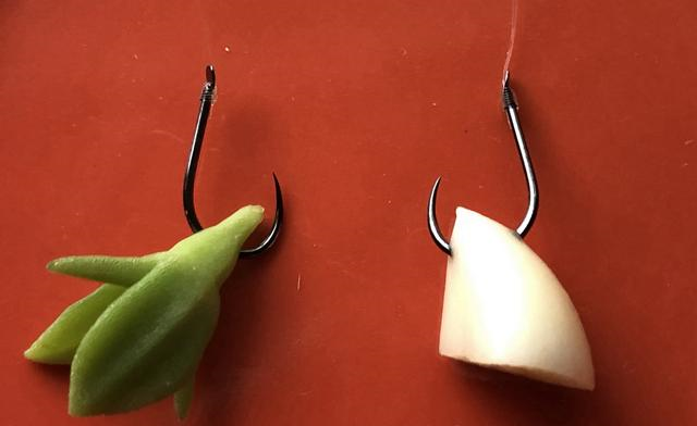 三菱欧蓝德|大蒜辛辣、异味重，鱼不吃？揭密“大蒜钓鱼”的饵料真相