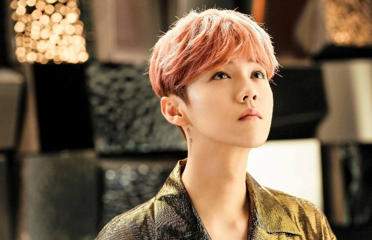 鹿晗@一个选择“极限挑战”，一个选择“跑男”，今两人差距越来越大