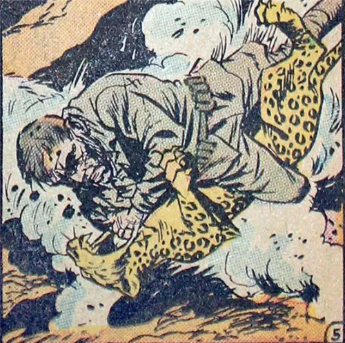 『水豚』人类可以徒手打死豹子吗？只有3人成功过，都用了同一个诀窍