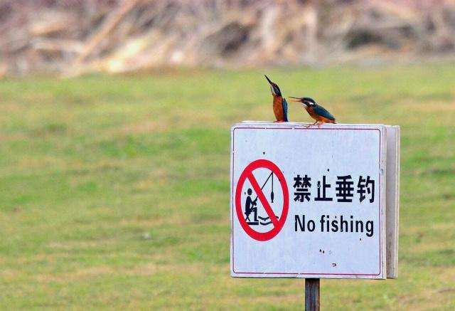 |钓鱼算不算是一种恶习？为什么有那么多人不支持？来说说钓鱼人的烦恼
