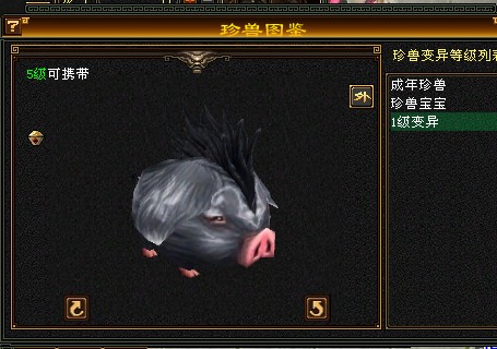 老玩家|《天龙八部》所有绝版宠物，能拥有5只绝对是老玩家