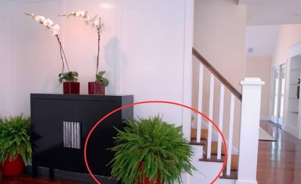 【】一旦进门看见这几样宝贝，注意，暗示着家人事业顺利，财源广进！