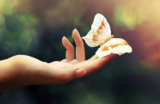 |灵性觉醒篇10：自杀不能摆脱轮回，还要面对惩罚，是真的吗？