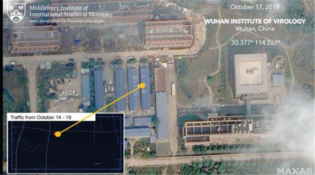 美国：中怎么回应？美国公布武汉实验室泄漏病毒关键证据……