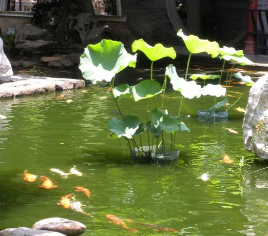 大学|内向的孩子上大学适合哪些领域的专业？