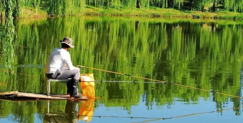 『玉米』夏钓饵料应遵循哪些原则？选择饵料的五大要点——盛世三渔