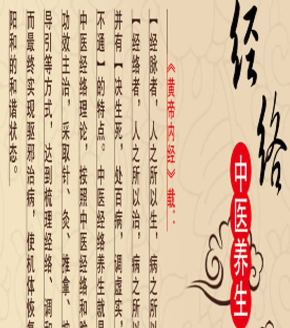 #经络#人体十二经络养生与调理(第二节)