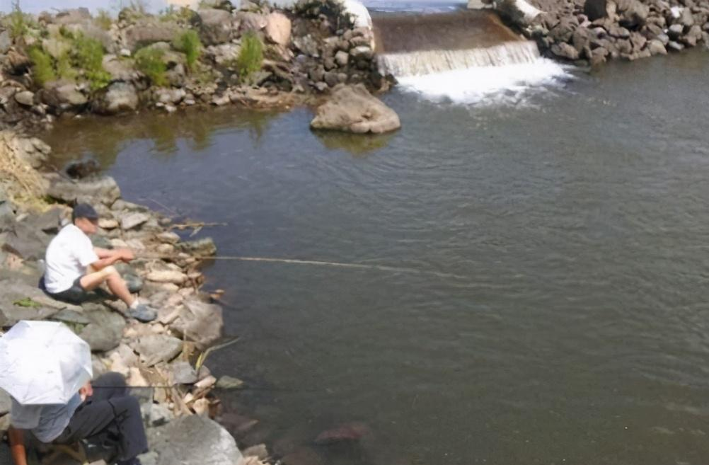 鲫鱼|在野河里作钓,怎么才能钓大鱼呢?快来看看让你连杆上鱼