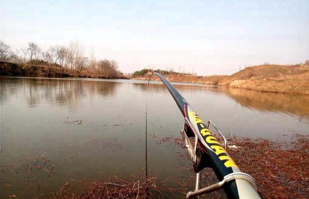 @夏钓攻略:短竿搜苇丛、长竿戳草洞、炮竿找草边的高效上鱼方法