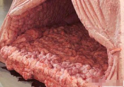 ：世界上“最恐怖”的帐篷，睡一晚可获7万奖金，至无人能挑战成功