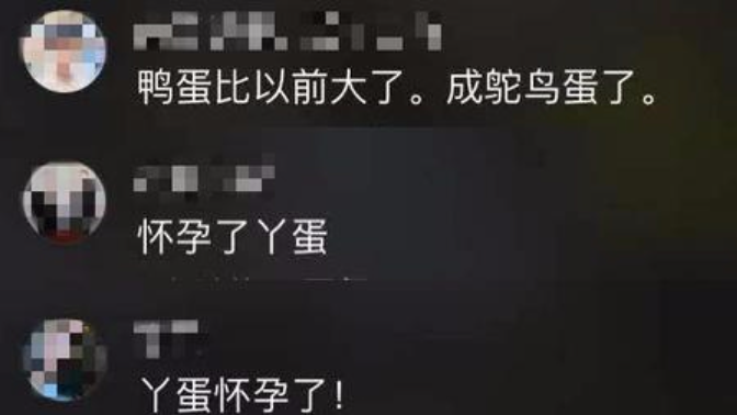 春晚|33岁丫蛋二婚后露面大腹便便疑怀孕, 直播惨淡公司艰难, 离开春晚她咋销声匿迹？