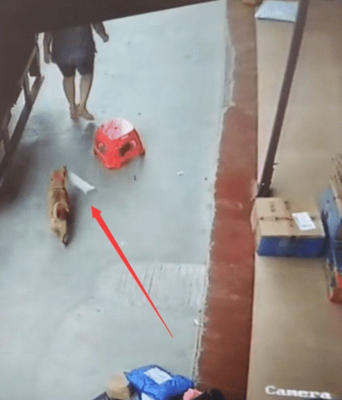 |“接触人性阴暗面较多的，是哪些职业？”哈哈哈评论很有经验