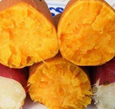 红薯|野钓饵料就用它，对大鲤鱼有致命诱惑，抛竿就黑漂上鱼！