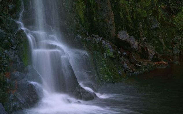 霉运▲17号开始，霉运消散，贵人来，迎财神接横财，定大富特富3大生肖
