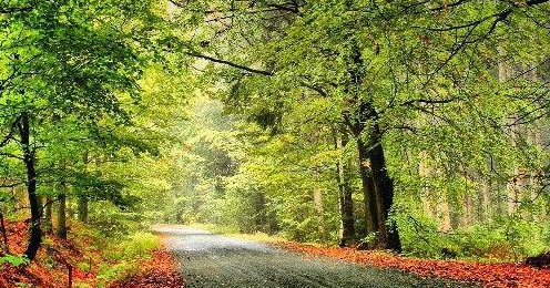 『生肖』未来25天，财神庇佑，好运接踵而至，数钱数的合不拢嘴的3生肖