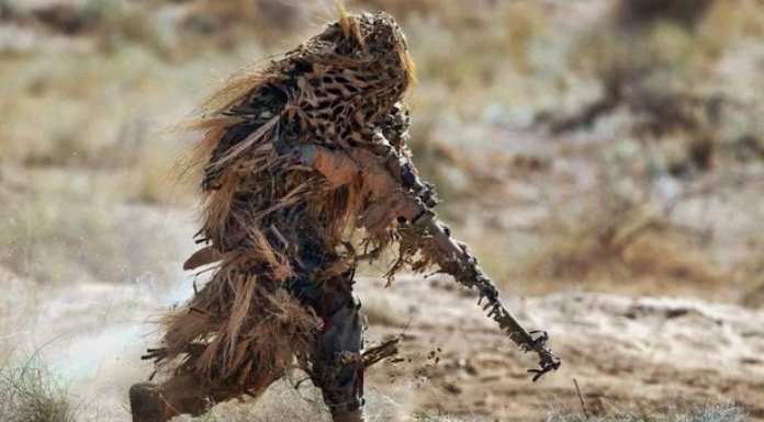 ▲最辛酸的鸟类! 为了躲避天敌假装自己是枯枝, 一装就是一辈子