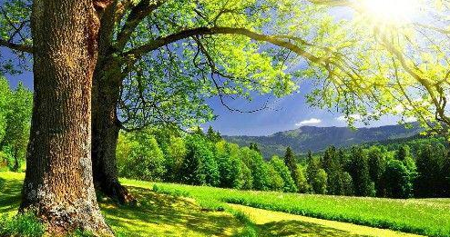 运势@6月8号运势攀升，横财一发再发，金库暴涨，大富特富的3生肖