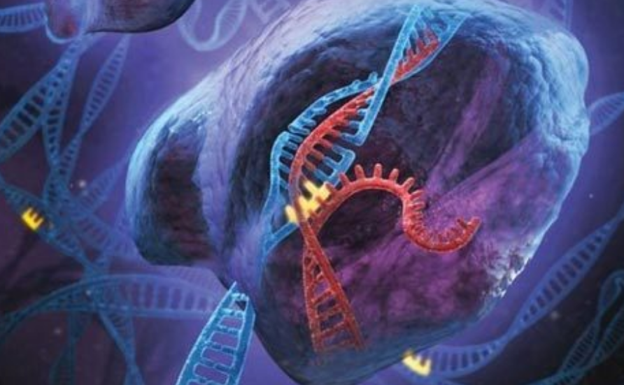 「科学家」人类是被设计出来的?科学家在人类DNA中,发现“造物者”痕迹!