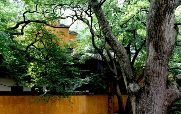 【】我国“最良心”5A景区，不仅门票免费，吃住加一起才要30元？
