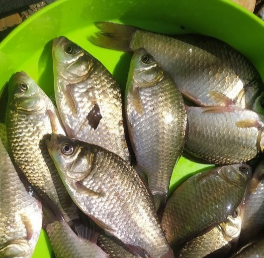 「」一入钓门深似海，从此贷友是路人