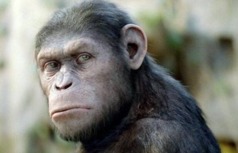 『』世界上体毛最长的女子，剔除体毛后，相貌惊艳众人