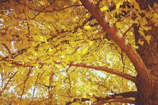 江浙沪|江浙沪地区的“世外桃源”，你想要的小众美景都在这里，晒圈体验都不错！