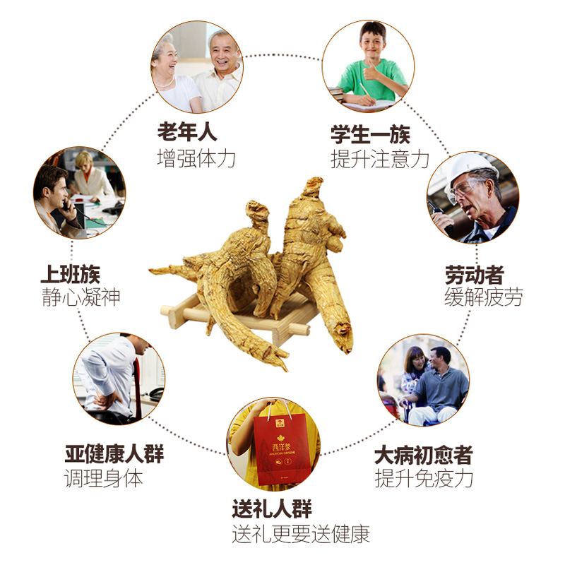 西洋参■凉性大补、补而不燥，西洋参的神奇功效