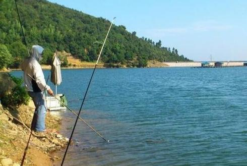 鲫鱼|【技巧】钓小鲫鱼考验钓鱼人的技术，这些技巧你知道吗？