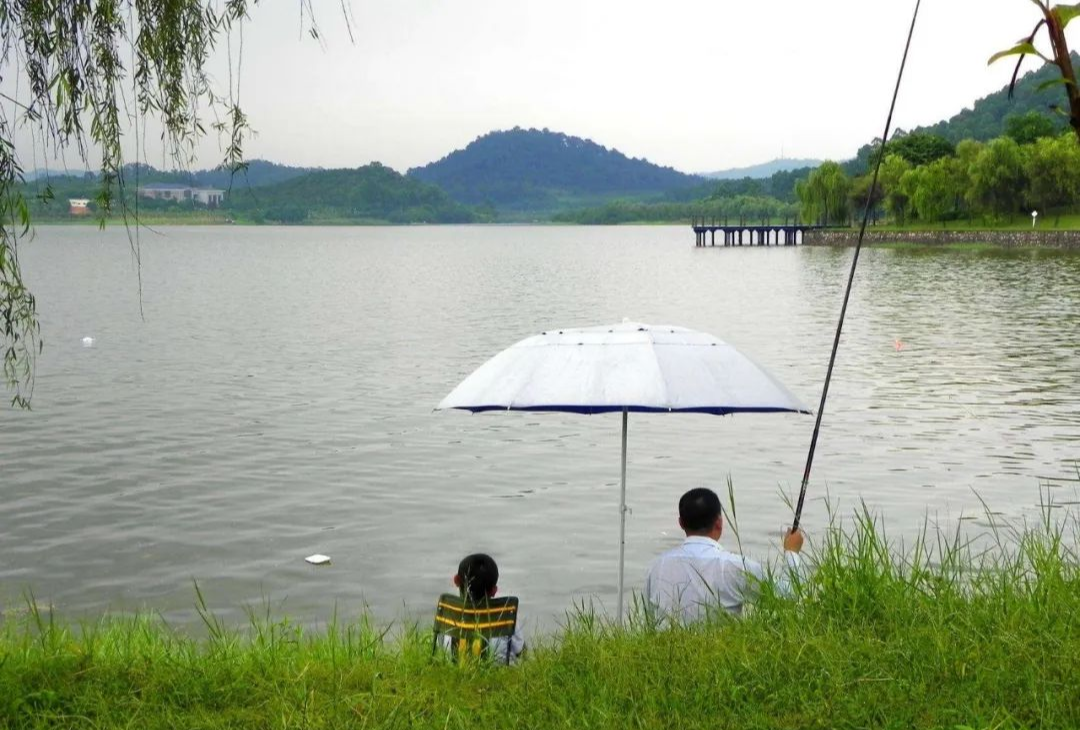 「」夏季选择钓位的三招，非常实用——盛世三渔