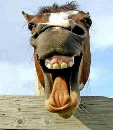 「黄家驹」光辉岁月之黄家驹，永远的记忆存留