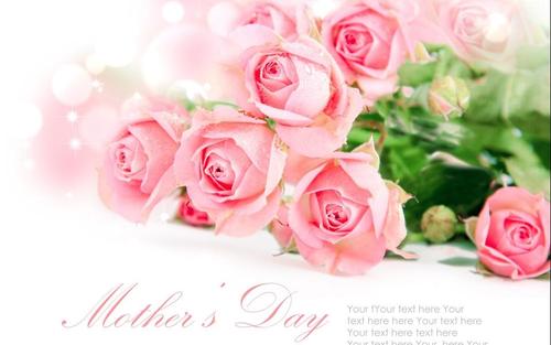 生肖|十月桃花开的轰轰烈烈，夙愿来了，真爱四生肖都能找到