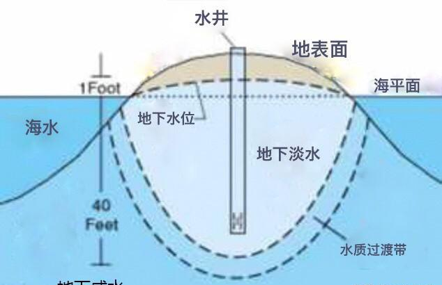 南海|南海哪个岛屿有淡水？