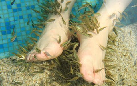 尿失禁|尴尬！女子做鱼疗太舒服导致“尿失禁”，结果小鱼全翻肚