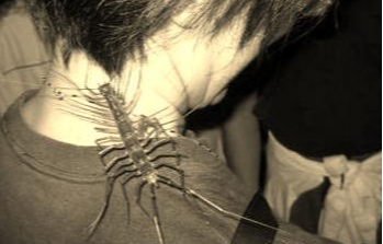 |盗墓?看到了这些你还敢么?