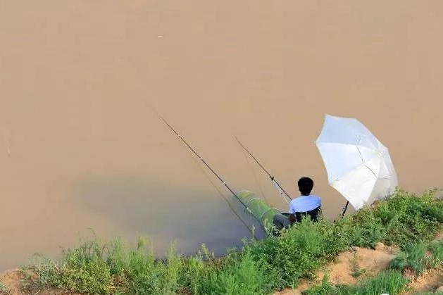 「深水区」夏季钓鱼，钓深钓浅的选择——盛世三渔
