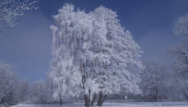 星座女▲5月开始,喜得财神庇佑,财运福运双临门的3大生肖