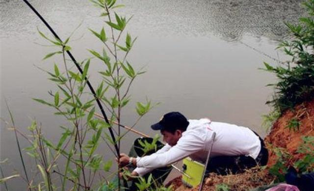 「」难怪老司机不公布：自从我用这套鲢鳙钓法，鲫鲤鱼再大也不想钓