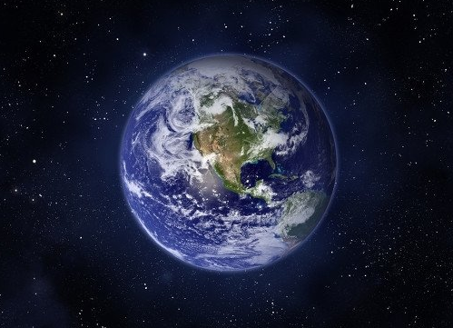 ▲它被称为世界上最神秘的鸟,羽毛比黄金还贵,人们只取其毛从不杀