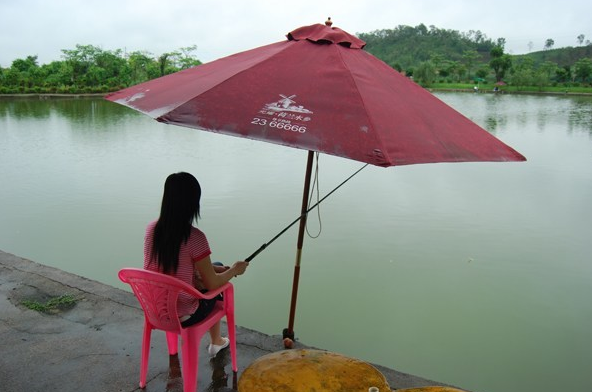 饵料|钓鱼饵料效果一直不好,那是你不会搭配