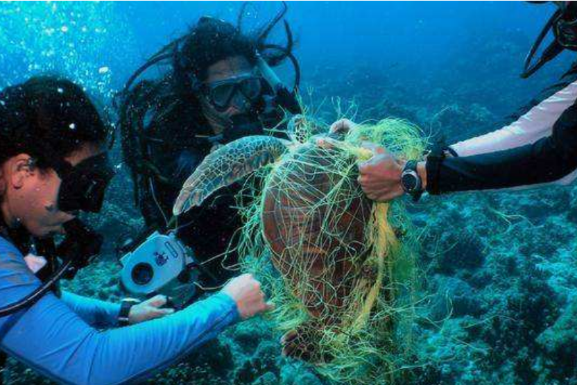 科学家|11034米“马里亚纳海沟”，科学家最不想看到的东西，终究逃不过！