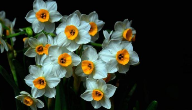 生肖@恭喜发财了，5月份3大生肖人财运唾手可得，迟早要暴富！