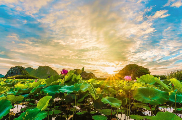 [祁连]7月的最佳旅行地专属，过一个只有25℃的夏天。