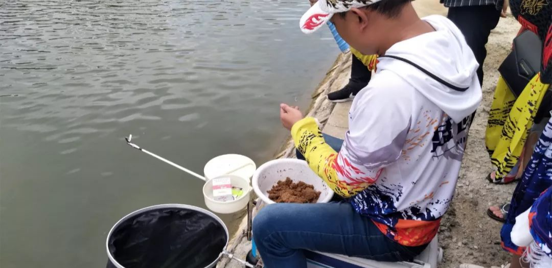 【】别人连杆上鱼你干看，这些黑坑线组搭配细节你该记牢——盛世三渔